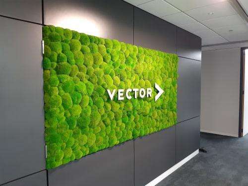 Parete decorativa con muschi sferici e logo integrato a Roma