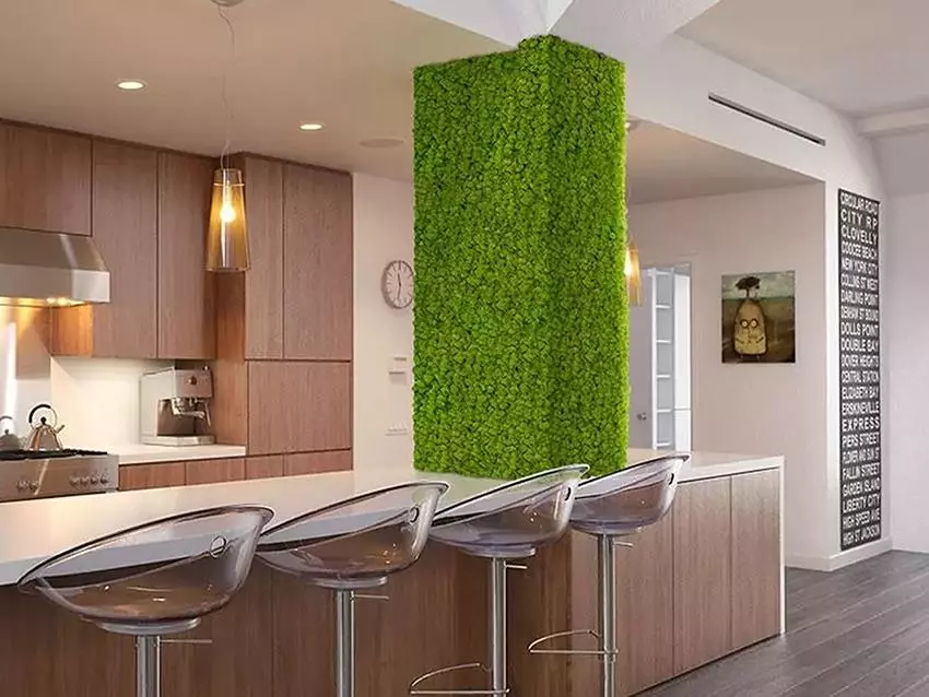 Parete verde stabilizzata in ambiente domestico a Roma