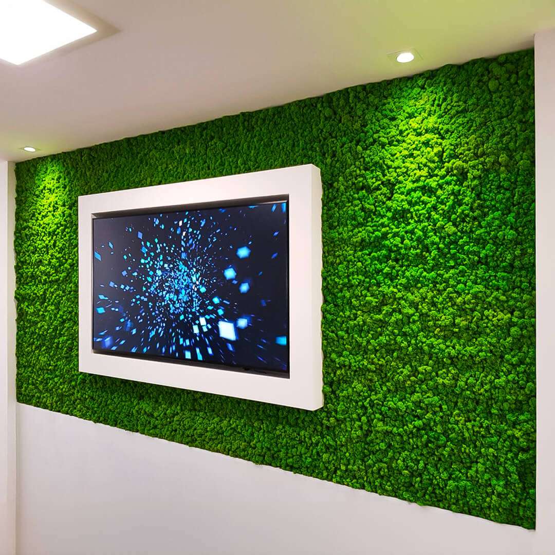 Parete verde verticale in locale commerciale a Roma