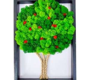 albero-mele-licheni-stabilizzati