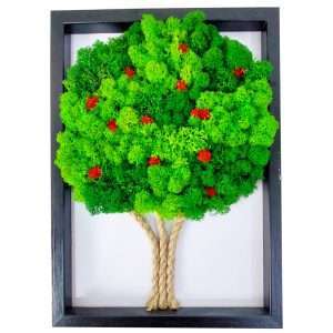 albero-mele-licheni-stabilizzati