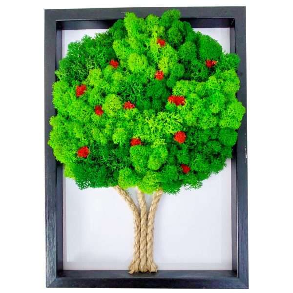 albero-mele-licheni-stabilizzati