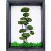 albero-streblus-muschio-stabilizzato