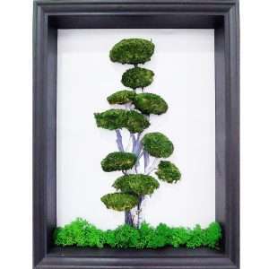 albero-streblus-muschio-stabilizzato