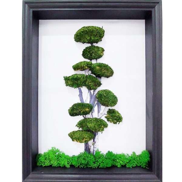 albero-streblus-muschio-stabilizzato