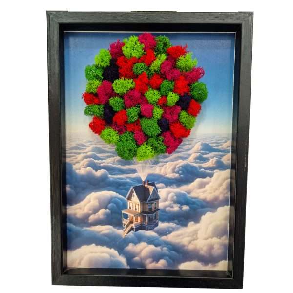 CasaUp-licheni-stabilizzati-quadro-roma