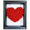 cuore-rosso-quadro-verde-stabilizzato-roma