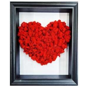 cuore-rosso-quadro-verde-stabilizzato-roma