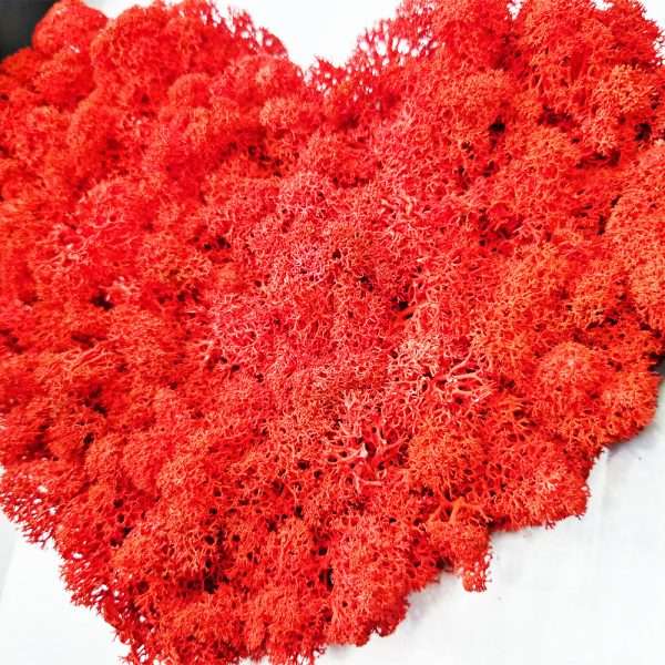 cuore-rosso-quadro-verde-stabilizzato-roma