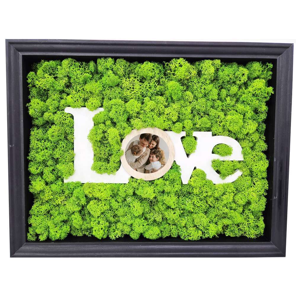 Quadro vegetale con verde stabilizzato e cornice design