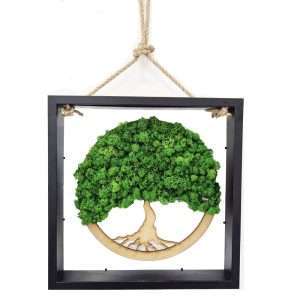 albero-della-vita-licheni-stabilizzati