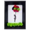 quadro banksy licheni stabilizzati Flying girl with balloons
