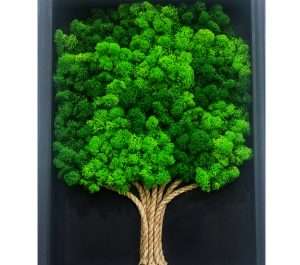 quadro-albero-grande-licheni-stabilizzati-roma