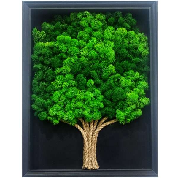 quadro-albero-grande-licheni-stabilizzati-roma
