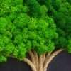 quadro-albero-grande-verde-stabilizzato-roma