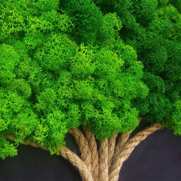 quadro-albero-grande-verde-stabilizzato-roma