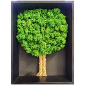 quadro-albero-licheni-stabilizzati-roma