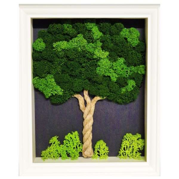 quadro albero mini licheni stabilizzati