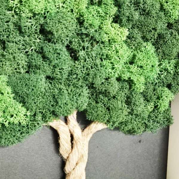 quadro-vegetale-albero-roma-20x25cm-medio