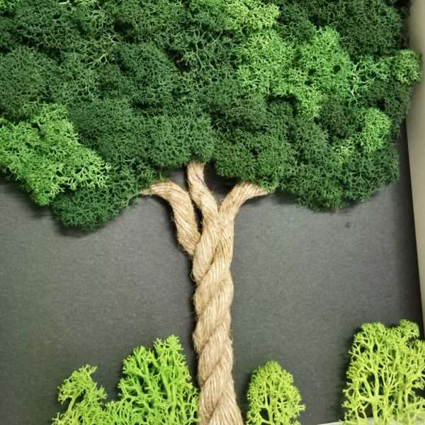 quadro-vegetale-albero-roma-20x25cm-medio