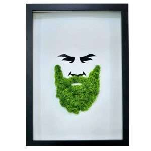 quadro hipster licheni stabilizzati
