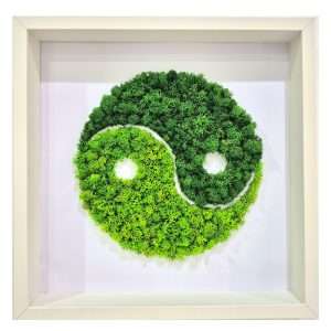 Quadro Yin Yang in licheni stabilizzati, 37x37 cm, design zen naturale