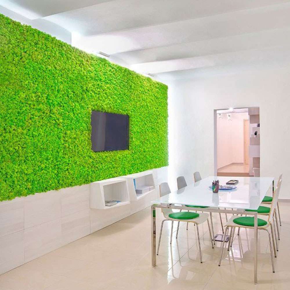 Parete in verde stabilizzato per ufficio moderno senza manutenzione