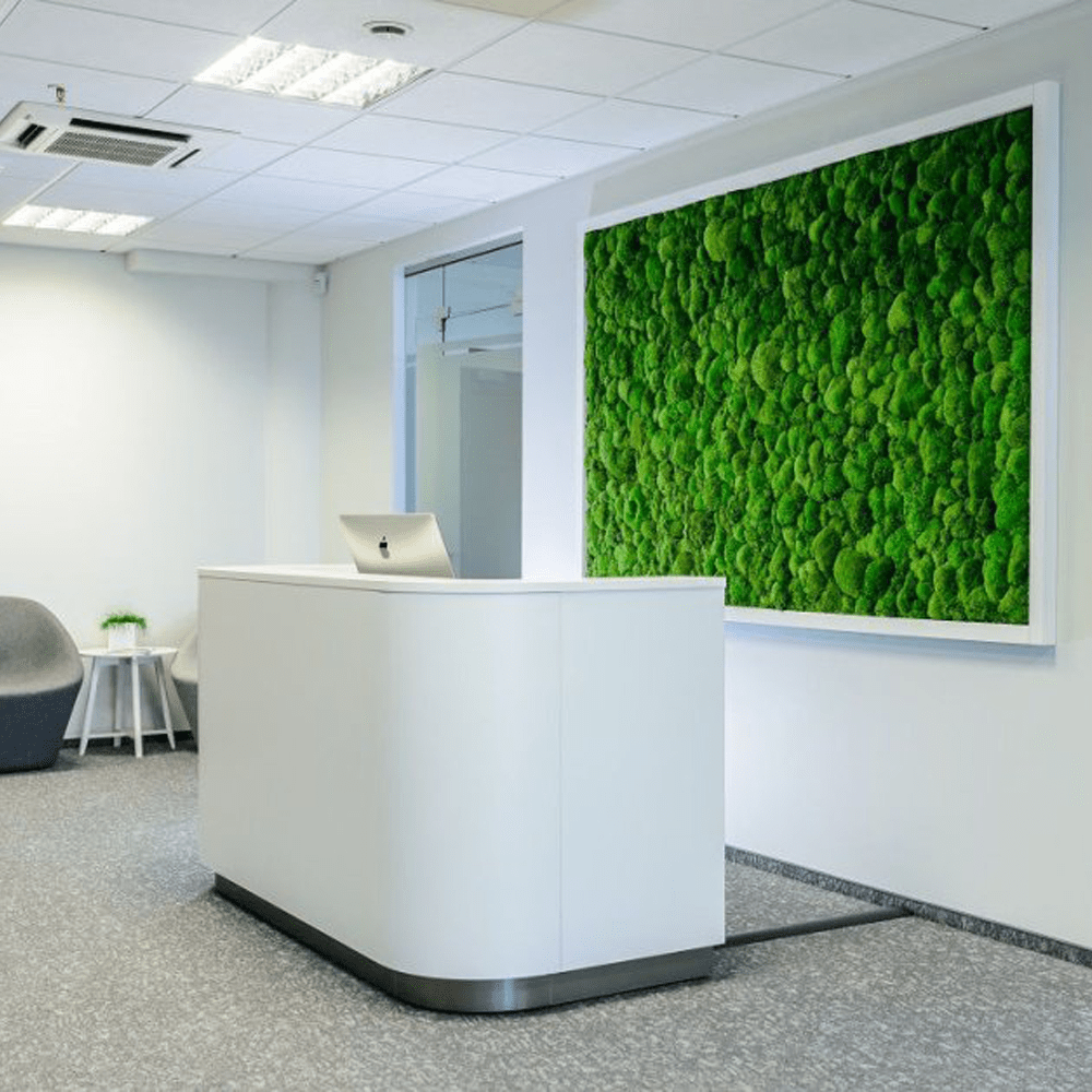 Reception con quadro in muschio stabilizzato per ambiente aziendale