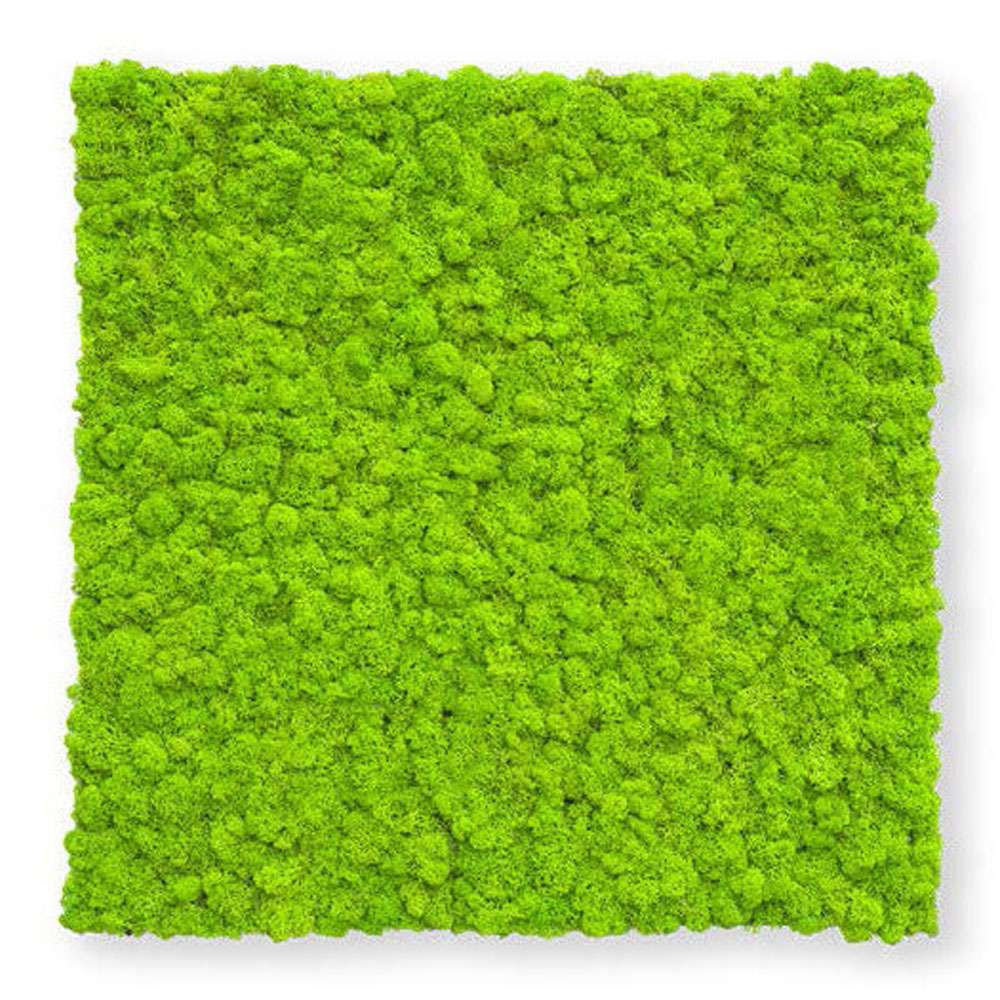 Design geometrico con verde stabilizzato e pannelli in legno per negozio