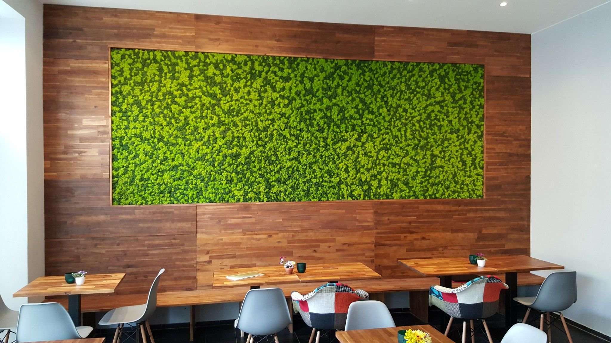 Parete vegetale in lichene stabilizzato per ristorante con cornice in legno